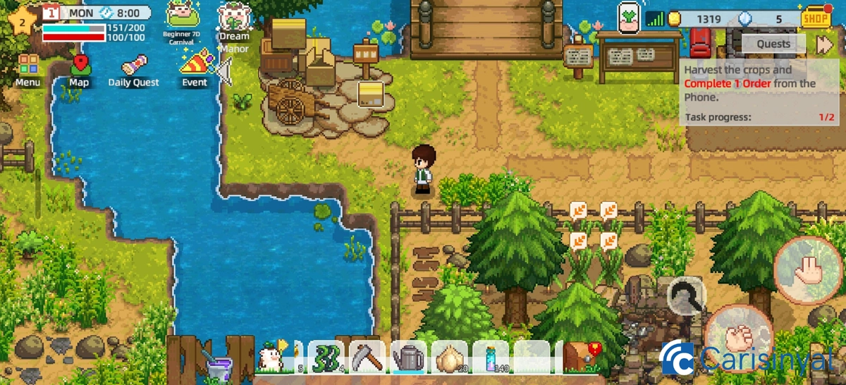 Harvest Town