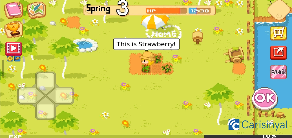 The Farm: Sassy Princess